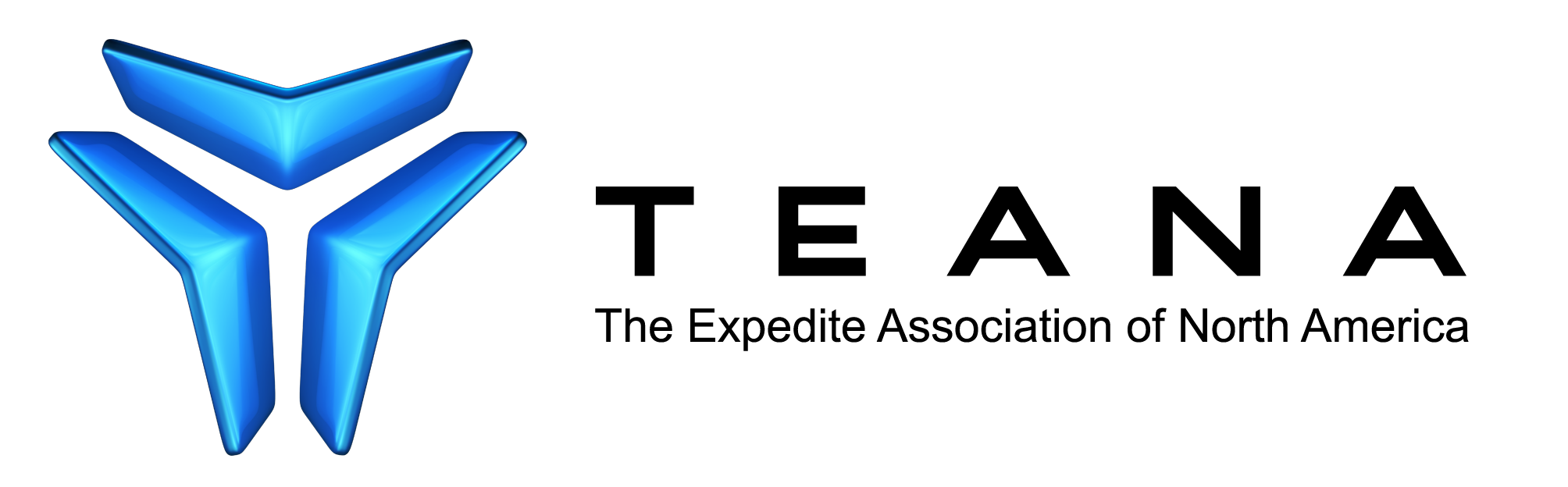 TEANA logo